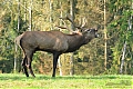 Název souboru=DSC_0156~0.jpg
Velikost souboru=615KB
Rozměry=1200x800
Datum přidání=07. Říjen 2017 DSC_0156~0.jpg