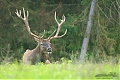 Název souboru=DSC_0323~0.jpg
Velikost souboru=442KB
Rozměry=1200x800
Datum přidání=07. Říjen 2017 DSC_0323~0.jpg