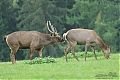 Název souboru=DSC_0590.jpg
Velikost souboru=529KB
Rozměry=1200x800
Datum přidání=07. Říjen 2017 DSC_0590.jpg