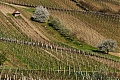 DSC_0646~0.jpg