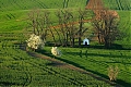 Název souboru=DSC_0688.jpg
Velikost souboru=757KB
Rozměry=1200x800
Datum přidání=03. Květen 2020 DSC_0688.jpg
