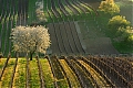 Název souboru=DSC_0924~0.jpg
Velikost souboru=735KB
Rozměry=1200x800
Datum přidání=23. Květen 2020 DSC_0924~0.jpg