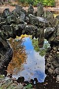 DSC_1542.jpg