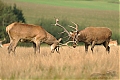 DSC_2069.jpg