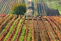 DSC_2819.jpg