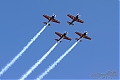 DSC_3252~0.jpg