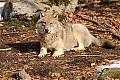 DSC_3357.jpg