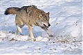 DSC_5969.jpg