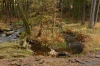 DSC_5988.jpg