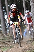 Název souboru=DSC_6417~1.jpg
Velikost souboru=489KB
Rozměry=683x1024
Datum přidání=22. Duben 2015 DSC_6417~1.jpg