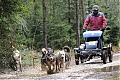 DSC_6835.jpg