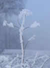 DSC_7181.jpg