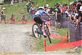 DSC_7342~0.jpg