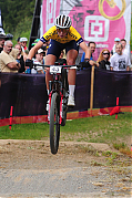 DSC_7534.jpg