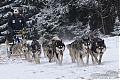 DSC_7832.jpg