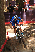 Název souboru=DSC_7917.jpg
Velikost souboru=637KB
Rozměry=1067x1600
Datum přidání=24. Květen 2026 DSC_7917.jpg