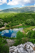 Název souboru=DSC_8041.jpg
Velikost souboru=530KB
Rozměry=800x1200
Datum přidání=23. Červenec 2019 DSC_8041.jpg