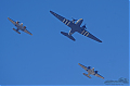 DSC_8211~0.jpg