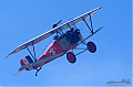 DSC_8247.jpg