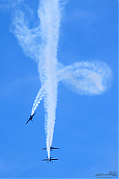 DSC_8307.jpg