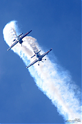 DSC_8318~0.jpg