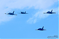 DSC_8412~1.jpg