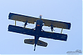 DSC_8493~0.jpg