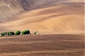 DSC_8519~0.jpg