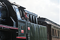 DSC_8646.jpg