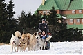 DSC_9661.jpg